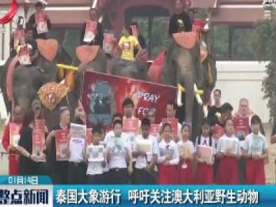 泰国大象游行 呼吁关注澳大利亚野生动物
