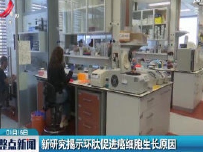 新研究揭示环肽促进癌细胞生长原因