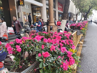 51个春节景观造型“春”意盎然
