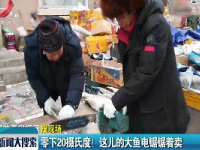 黑龙江：零下20摄氏度！ 这儿的大鱼电锯锯着卖