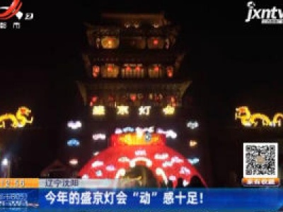 辽宁沈阳：2020年的盛京灯会“动”感十足！