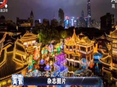鼠年灯会 “鼠”你好看