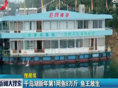 浙江淳安县：千岛湖新年第1网鱼8万斤 鱼王放生