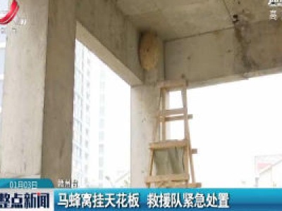 赣州：马蜂窝挂天花板 救援队紧急处置