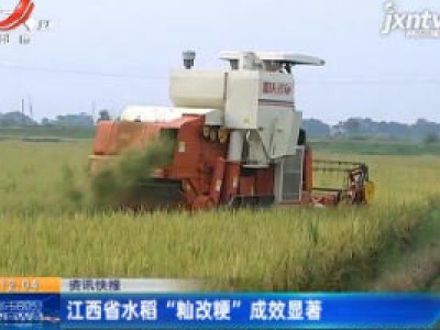 江西省水稻“籼改粳”成效显著