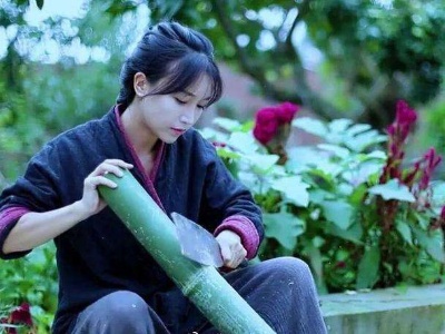 李子柒视频走红海外 中国成为网红经济发动机