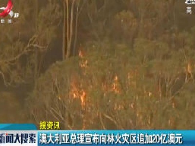 澳大利亚总理宣布向林火灾区追加20亿澳元