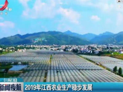 2019年江西农业生产稳步发展