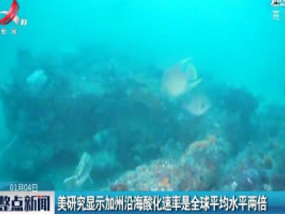 美研究显示加州沿海酸化速率是全球平均水平两倍