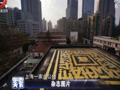 上海一办公楼楼顶竟出现了巨型涂鸦书法作品