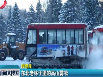 东北老林子里的高山雾凇