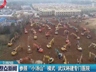 参照“小汤山”模式 武汉将建专门医院