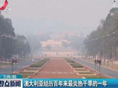 澳大利亚经历百年来最炎热干旱的一年