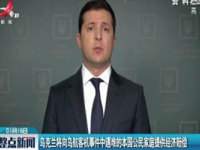 乌克兰将向乌航客机事件中遇难的本国公民家庭提供经济赔偿