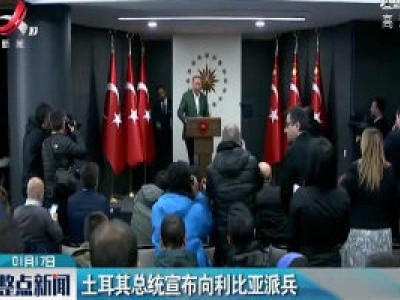 土耳其总统宣布向利比亚派兵