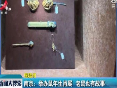 南京：举办鼠年生肖展 老鼠也有故事