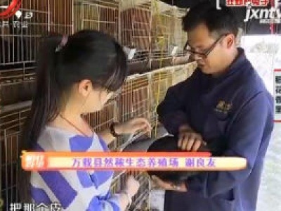 稻花香里20200107