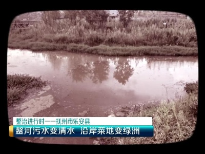 美丽江西在行动20200123 抚州市乐安县：鳌河污水变清水 沿岸菜地变绿洲