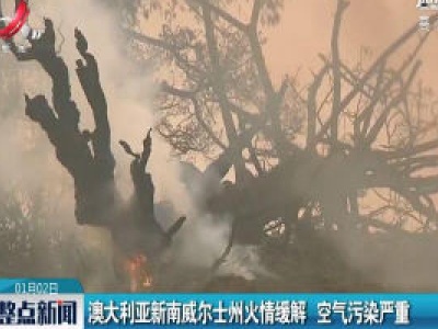 澳大利亚新南威尔士州火情缓解 空气污染严重
