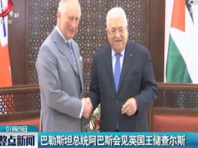 巴勒斯坦总统阿巴斯会见英国王储查尔斯