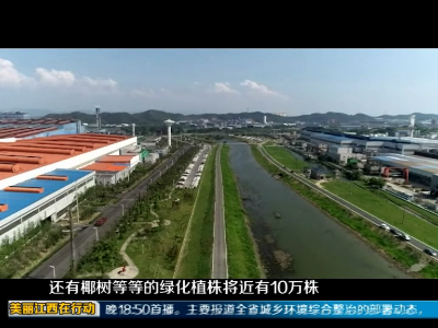美丽江西在行动20200118 九江市湖口县：水岸共治 江湖同治 打造最美岸线