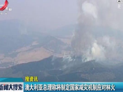澳大利亚总理称将制定国家减灾机制应对林火