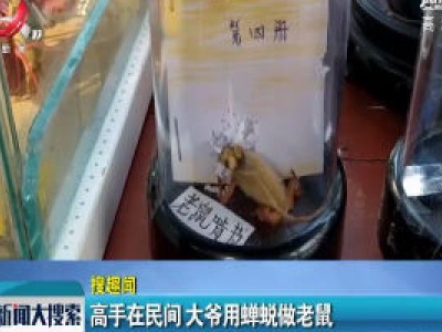 河南：高手在民间 大爷用蝉蜕做老鼠