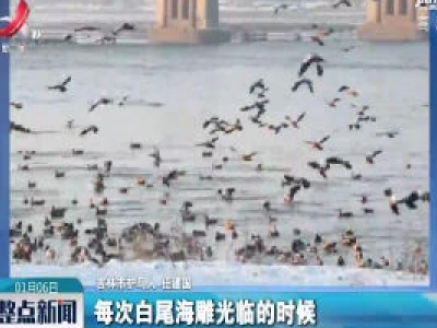 吉林：野鸭雪地嬉戏 天敌一来同时起飞