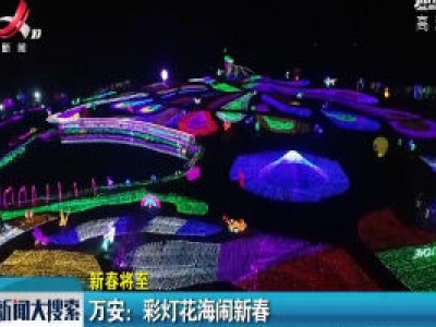 【新春将至】万安：彩灯花海闹新春