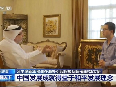外国政要称赞习主席新年贺词：中国发展成就得益于和平发展理念