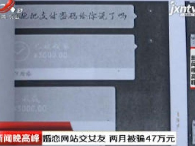 安徽：婚恋网站交女友 两月被骗47万元