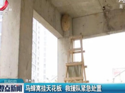 赣州：马蜂窝挂天花板 救援队紧急处置
