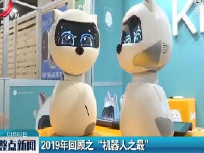 2019年回顾之“机器人之最”