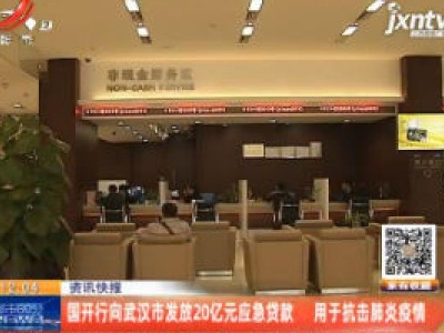 国开行向武汉市发放20亿元应急贷款 用于抗击肺炎疫情