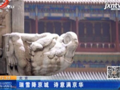 北京：瑞雪降京城 诗意满京华