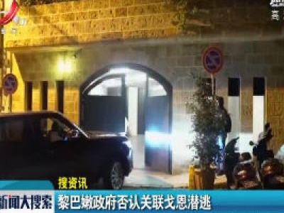 黎巴嫩政府否认关联戈恩潜逃