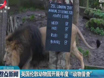 英国伦敦动物园开展年度“动物普查”