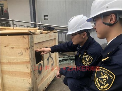 抚州海关首次截获活体外来有害生物