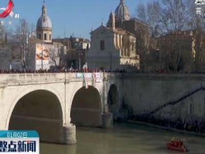 意大利台伯河举行传统新年跳水活动