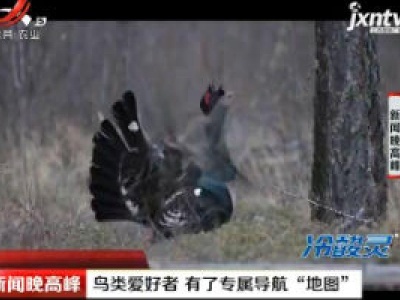 鸟类爱好者 有了专属导航“地图”