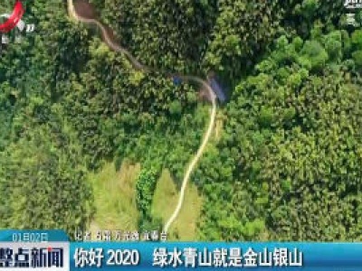 你好2020 绿水青山就是金山银山