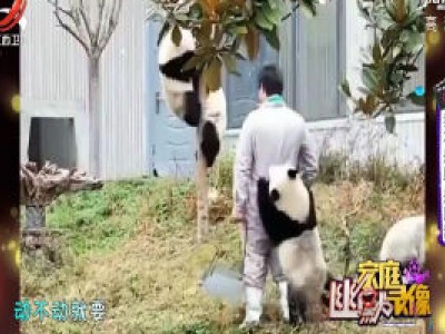 家庭幽默录像20200120