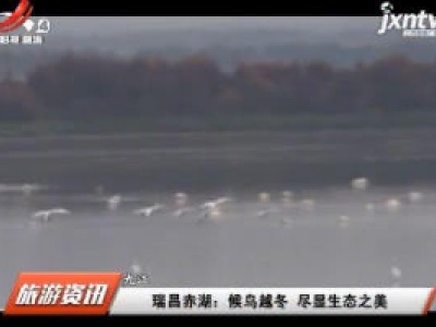 九江瑞昌赤湖：候鸟越冬 尽显生态之美