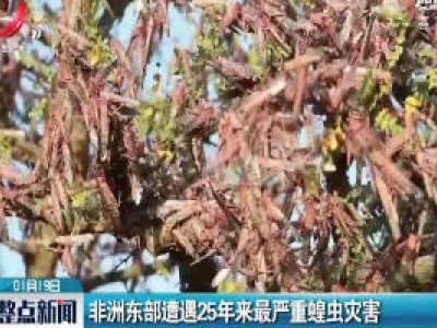 非洲东部遭遇25年来最严重蝗虫灾害