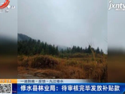 【一追到底·反馈·九江修水】修水县林业局：待审核完毕发放补贴款