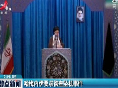 哈梅内伊要求彻查坠机事件