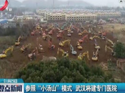 参照“小汤山”模式 武汉将建专门医院