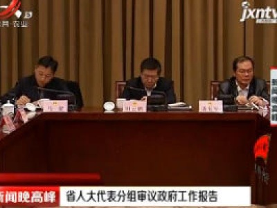 省人大代表分组审议政府工作报告