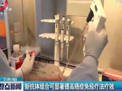 新抗体组合可显著提高癌症免疫疗法疗效