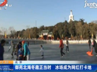 北京：御苑北海冬趣正当时 冰场成为网红打卡地